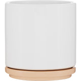 Blume 22 oz Ceramic Planter