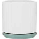 Blume 22 oz Ceramic Planter