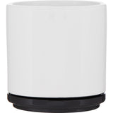 Blume 22 oz Ceramic Planter