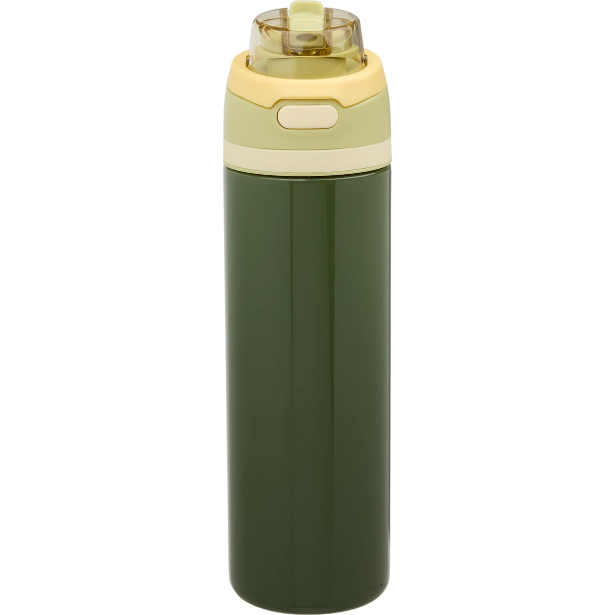 Elvin 28oz Recycled Stainless Flip Straw Bottle